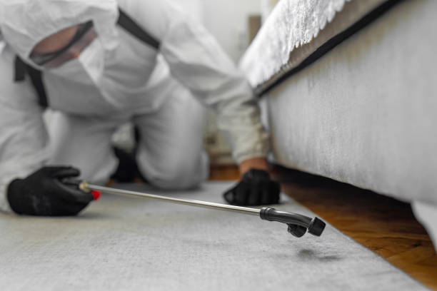 Professional Bed Bug Control technician working in Sheridan, IN