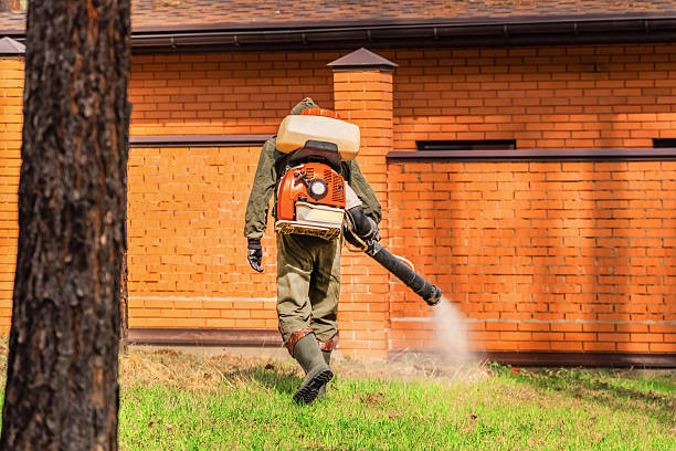 Trusted Rodent Control service in Sheridan, IN - Nex Pest Control